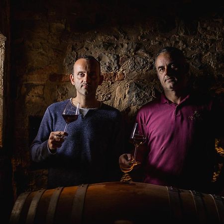 Wine Resort Colsereno Montalcino Kültér fotó