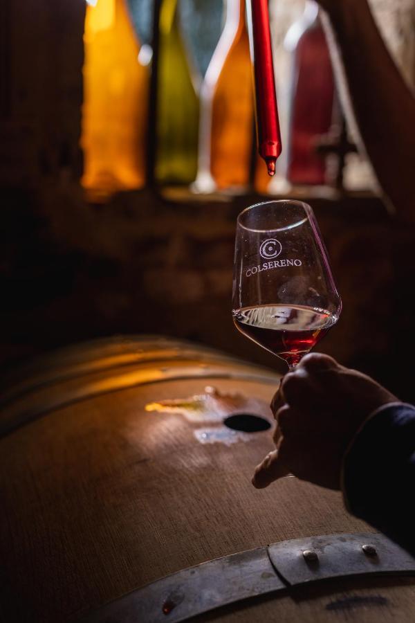 Wine Resort Colsereno Montalcino Kültér fotó