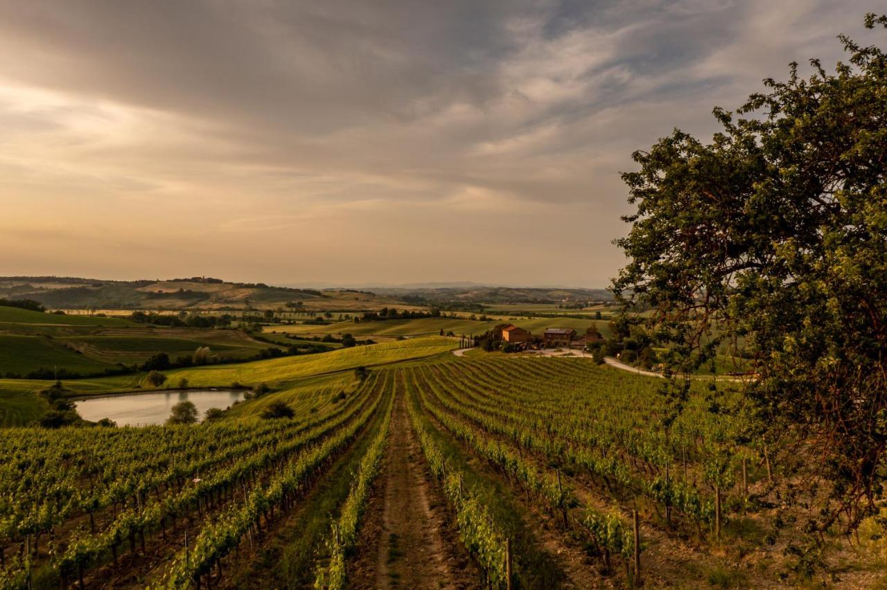 Wine Resort Colsereno Montalcino Kültér fotó