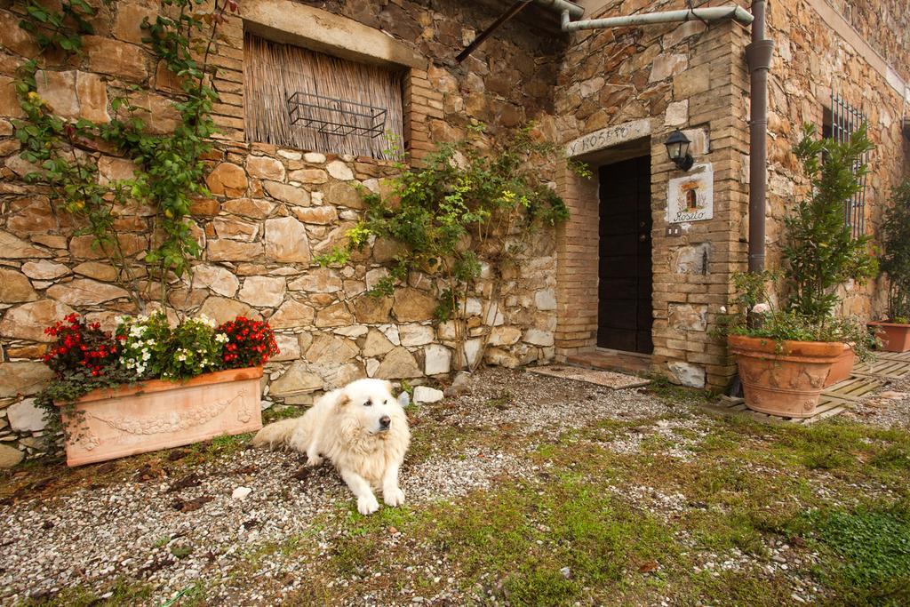 Wine Resort Colsereno Montalcino Kültér fotó