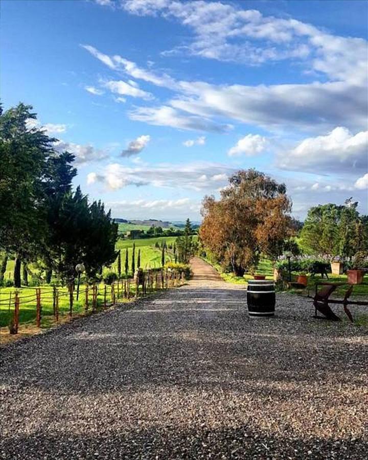 Wine Resort Colsereno Montalcino Kültér fotó