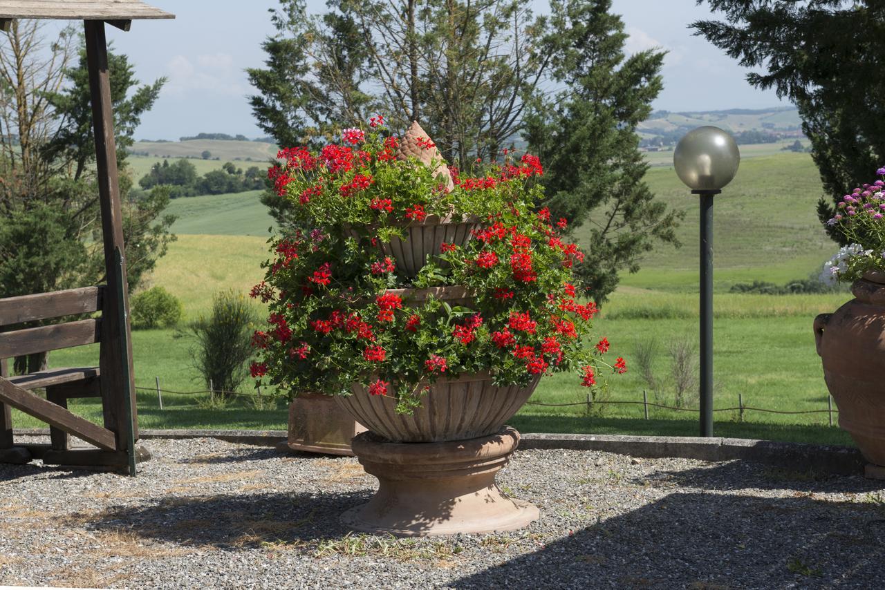 Wine Resort Colsereno Montalcino Kültér fotó
