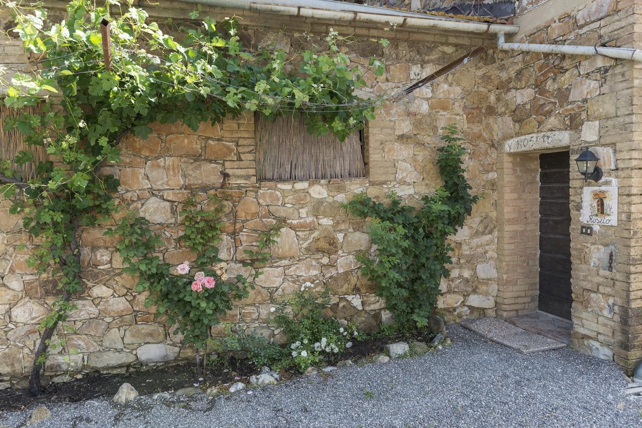 Wine Resort Colsereno Montalcino Kültér fotó