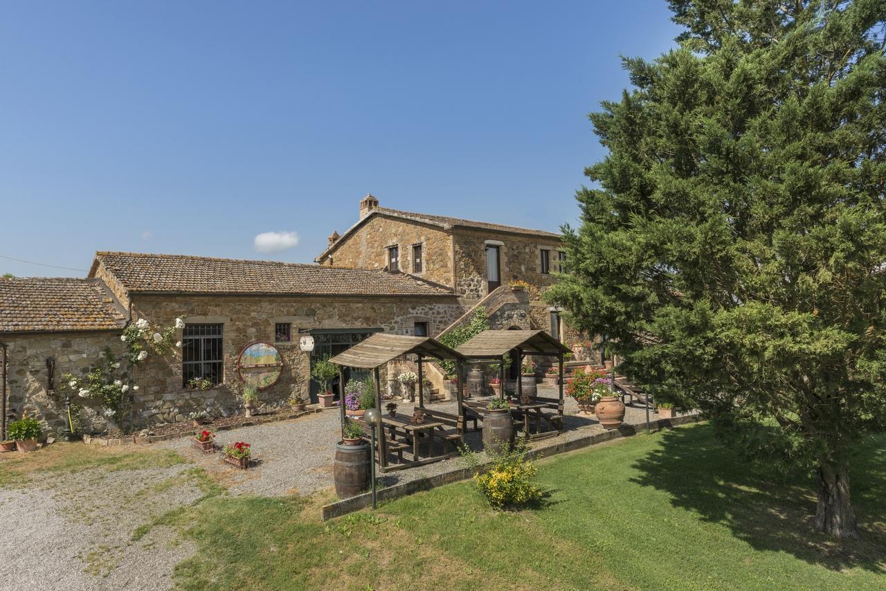 Wine Resort Colsereno Montalcino Kültér fotó